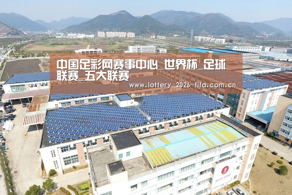 案例展示二