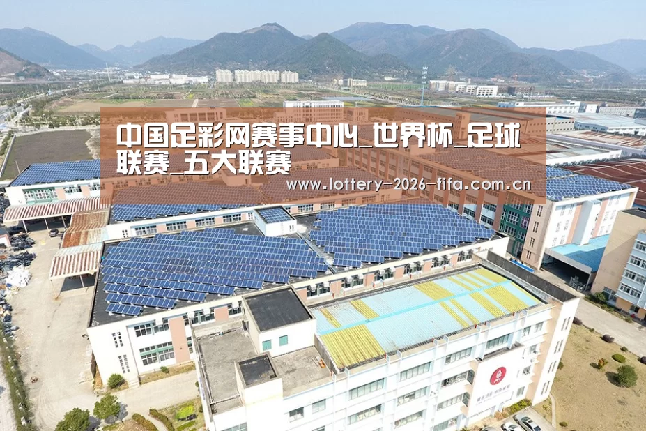 案例展示四