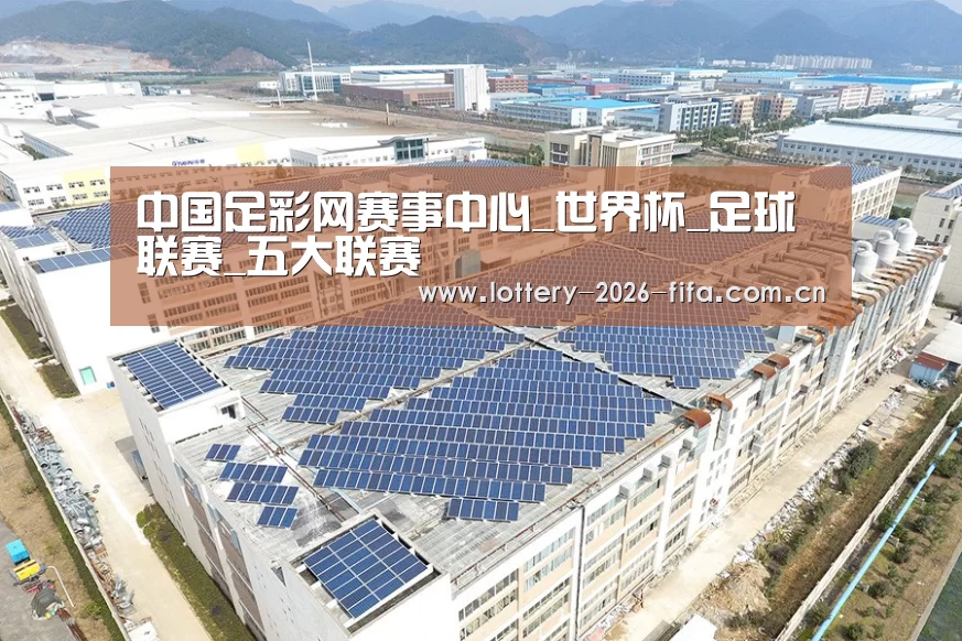 案例展示四