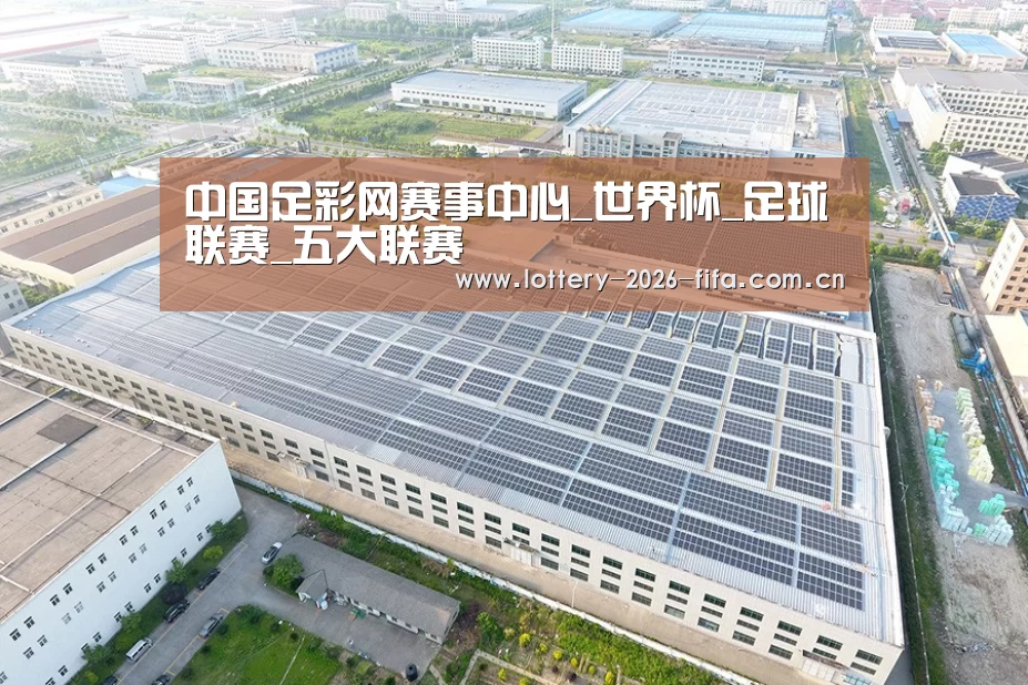 案例展示三