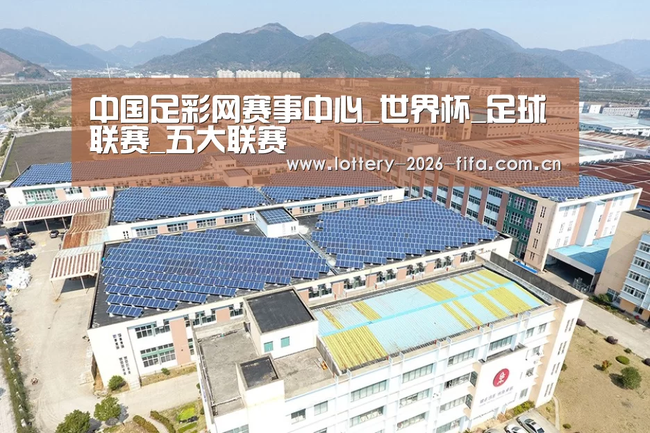 案例展示三