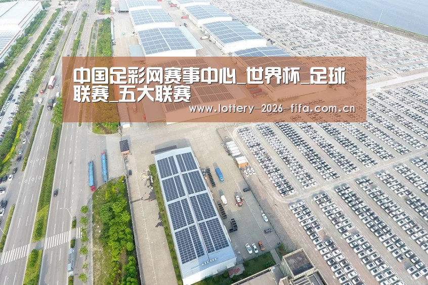 案例展示二