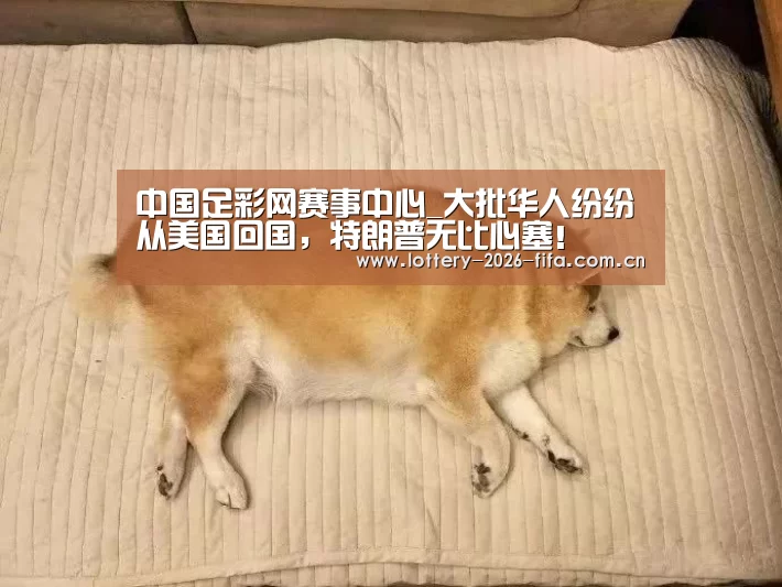 中国足彩网赛事中心_大批华人纷纷从美国回国,特朗普无比心塞!(图1) 五大联赛