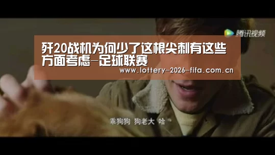 歼20战机为何少了这根尖刺有这些方面考虑-足球联赛(图1) 美洲杯